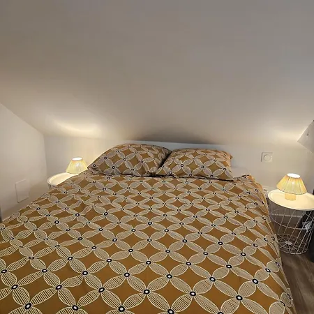 公寓 Le Ptit Nid Cocon Au Coeur Du Centre 查塔奥贡泰