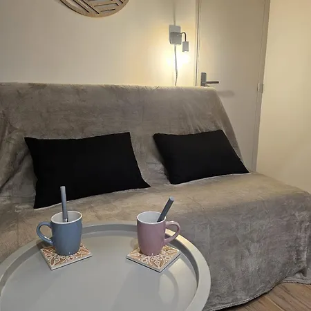 公寓 Le Ptit Nid Cocon Au Coeur Du Centre 查塔奥贡泰