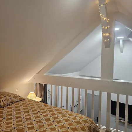 Le Ptit Nid Cocon Au Coeur Du Centre Apartmán