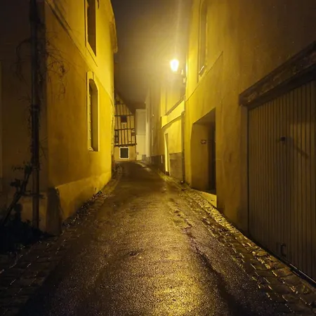 Le Ptit Nid Cocon Au Coeur Du Centre 公寓