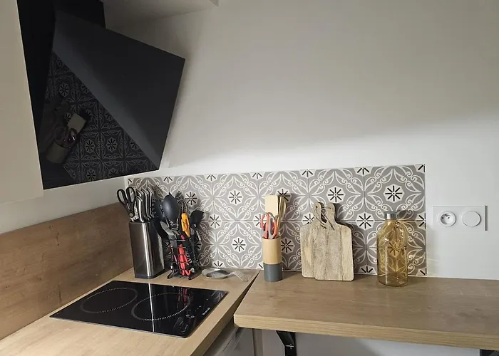 Le Ptit Nid Cocon Au Coeur Du Centre